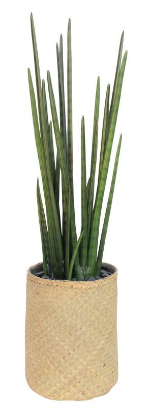 Nairobie Sansevieria Artificial Plant Tanaman   